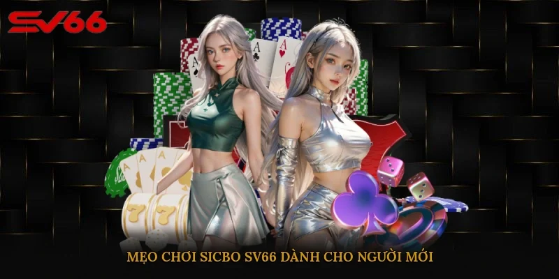 Mẹo chơi Sicbo SV66 dành cho người mới